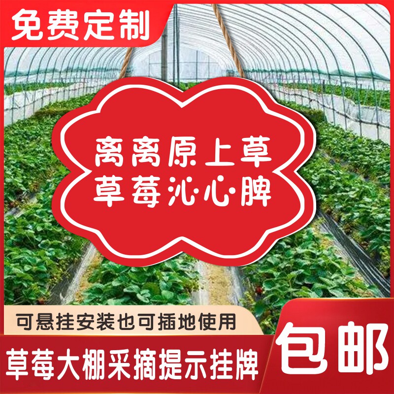 草莓园大棚提示挂牌插地牌定制公园花草绿化警示牌文明采摘谢绝品尝