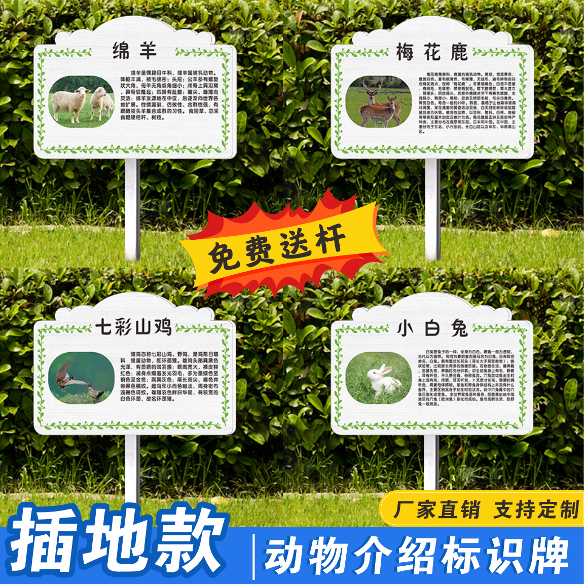 插入式动物简介植物介绍牌梅花鹿孔雀鹦鹉骆驼狐狸乌龟黑天鹅羊驼土拨鼠山羊豚鼠鸭动物园森林公园支持定制