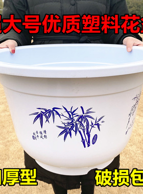 睡莲花卉盆栽白色塑料花盆无孔有孔果树盆特大号大号圆形加厚花盆
