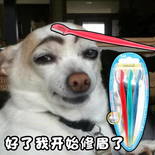 日本KAI/贝印迷你安全修眉刀带防护网防刮伤精细修眉唇毛发际线