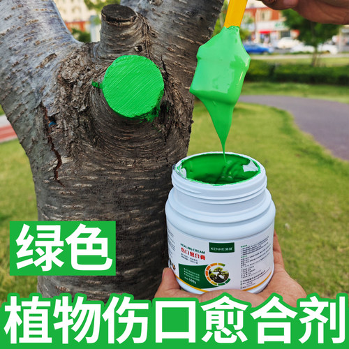 绿色植物盆景伤口愈合剂