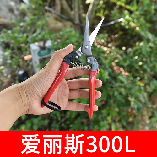 爱丽斯ARS300L摘果剪