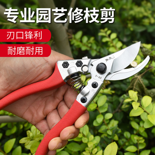 刘盛A8农友园艺剪刀修枝剪粗枝剪花剪树枝剪果树剪采果