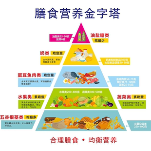 新版膳食宝塔模型中国居民平衡营养指导膳食金字塔模型食物交换份