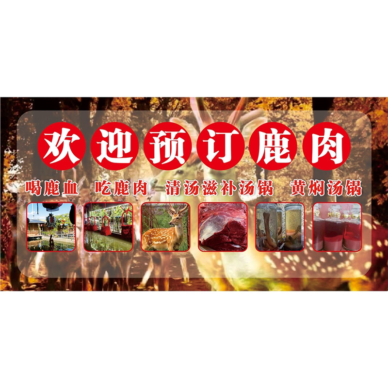 鹿肉海报展板滋补鹿肉锅曾经帝王餐上宴如今走进百姓家墙贴墙纸