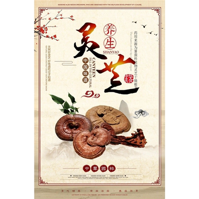 灵芝养生海报展板灵芝灵芝的成分灵芝养生之道墙贴墙纸装饰画KT板
