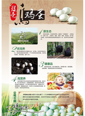 绿壳乌鸡蛋海报展板乌鸡蛋无公害低胆固醇高营养白凤乌鸡蛋