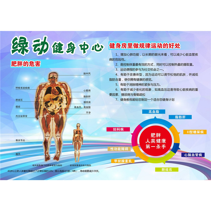 肥胖的危害海报宣传画挂图肥胖可导致的疾病广告展板美容美体图片