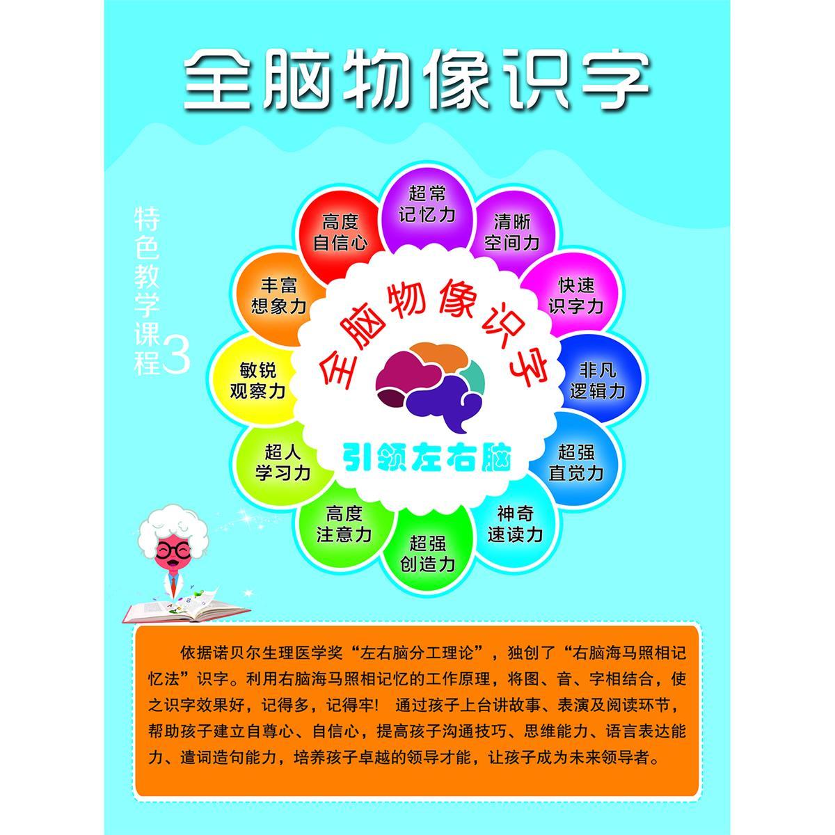 脑部功能图全脑大脑开发心理咨询室墙上装饰贴画海报印制墙贴挂图