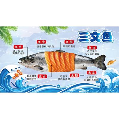 三文鱼小吃车广告牌广告布海报定制喷绘布背胶软膜灯箱防晒户外