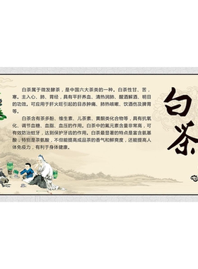 白茶茶叶文化海报展板白茶福鼎老白茶福鼎白茶的功效墙贴墙纸KT板