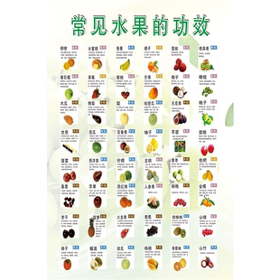 常见水果功效宣传海报食物属性一览表大全挂图水果蔬菜营养成分表
