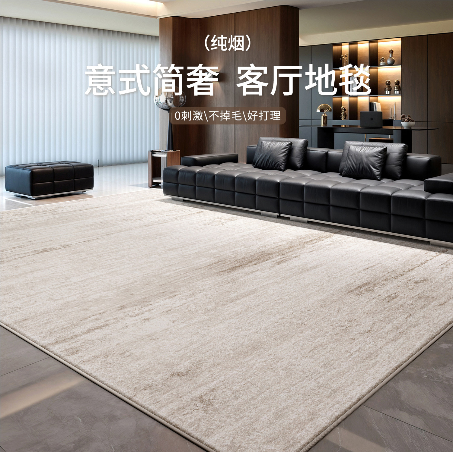 意式轻奢免洗地毯客厅2026新款可擦高级感客厅茶几卧室家用地毯垫