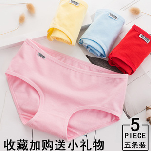 内裤 女纯棉修身 舒适性感蕾丝100%全棉纯欲抗菌少女透气女士三角裤