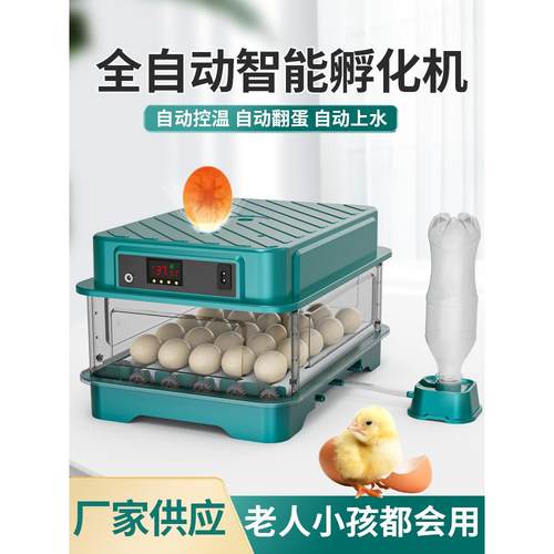 孵化器小型家用全自动智能孵化机芦丁鸡小鸡孵蛋器鹌鹑鹦鹉孵化箱