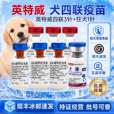 英特威四联疫苗狗预防犬瘟顺丰