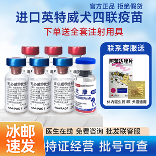 顺丰 英特威四联疫苗狗狗4联幼成犬犬瘟细小狗育苗进口宠必威狂犬