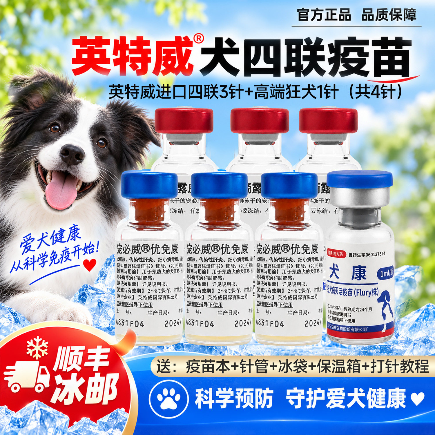 狗幼犬成犬宠物狗狗通用疫苗