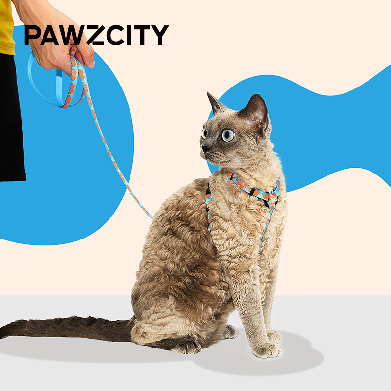 pawzcity猫用工字胸背猫咪牵引绳