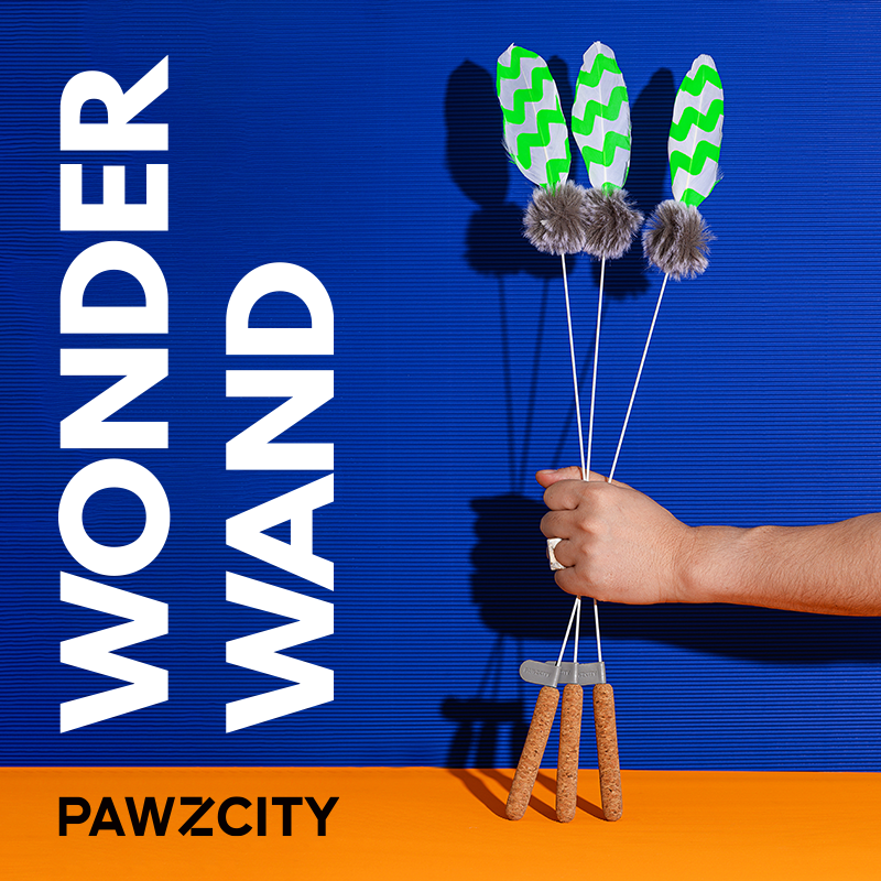 PAWZCITY荧光逗猫棒猫咪最爱天然羽毛环保软木手柄含铃铛