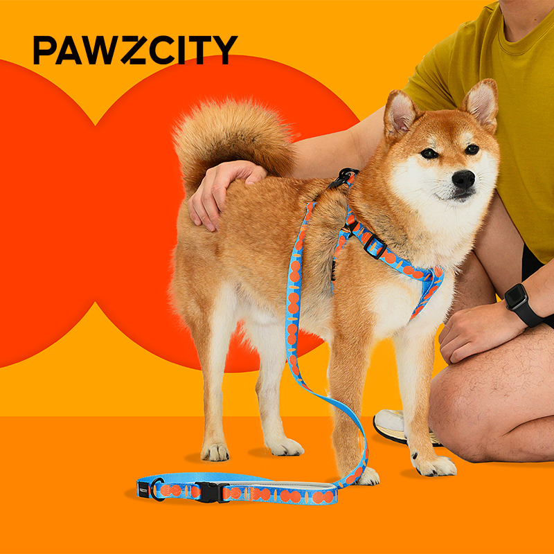 花款胸背套装狗狗牵引绳