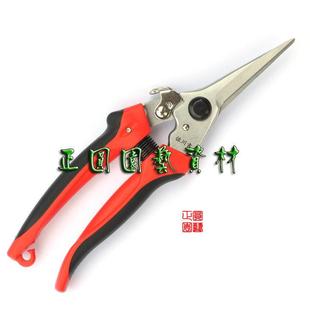 正圆园艺 台湾产 佐川吉 修枝剪 园艺剪刀 摘果剪 尖头剪 782
