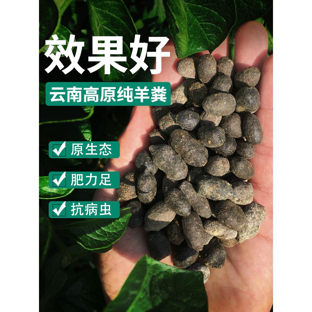 纯羊粪发酵有机肥料家用花卉通用型腐熟缓释肥种花菜羊屎蛋