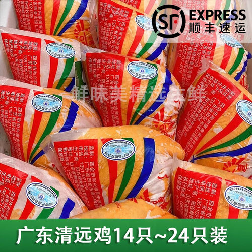 宫清皇鸡黄油鸡酒店粤菜食材