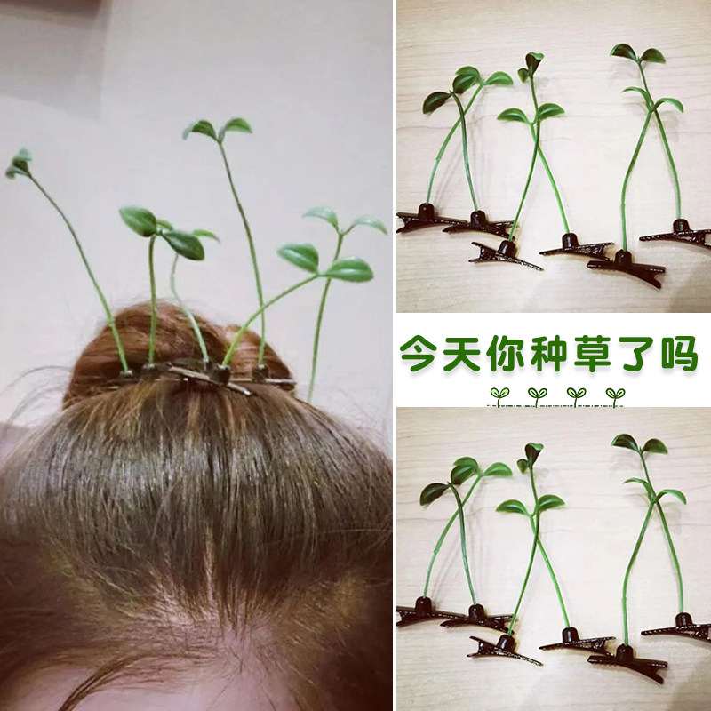 小草装饰发夹头上长草卖萌神器创意搞笑搞怪发卡可爱刘海夹子头饰