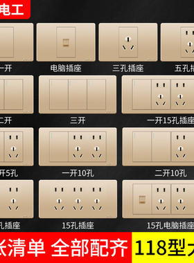 国际电工118型金色暗装六孔6九9孔十二12孔多孔长方形开关插座面