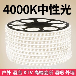 led灯带超亮5730双排中性光4000K工程家用自然光软线灯条防水220v