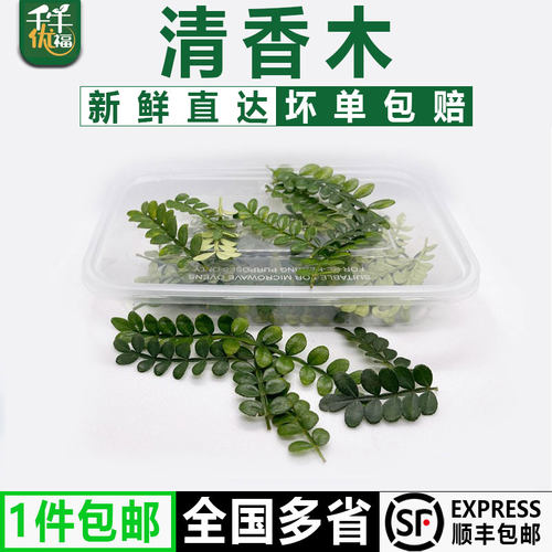 千牛优福摆盘装饰新鲜采摘