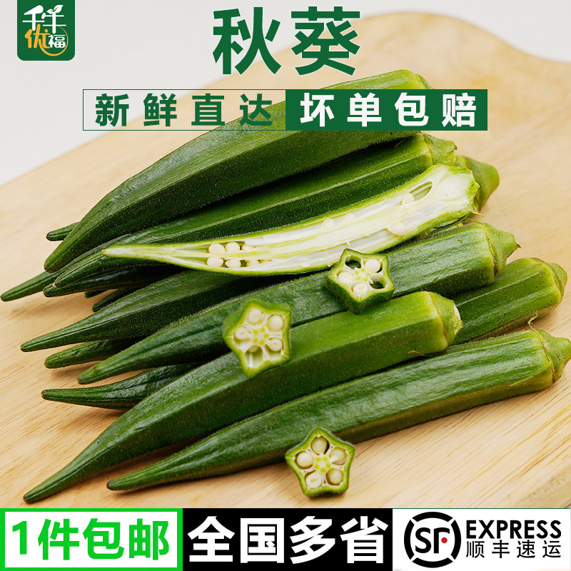 秋葵500-2500g 新鲜黄秋葵 六角羊角豆洋辣椒顺丰包邮