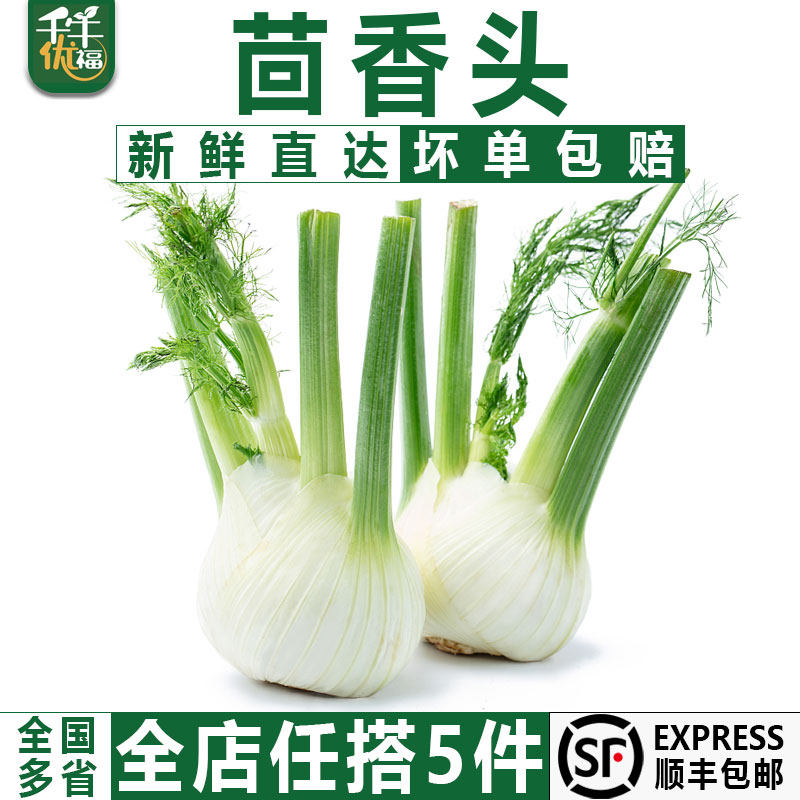 【千牛优福】茴香头500g 新鲜茴香根茴香球茎 西餐料理香料食材