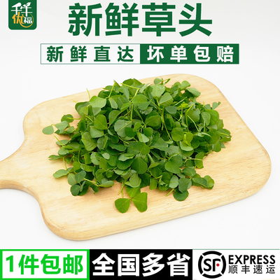 千牛优福农家菜草头金花菜