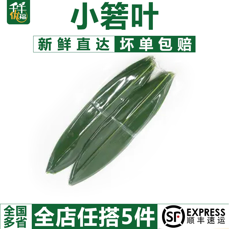 新鲜小箬叶日式寿司料理摆盘装饰