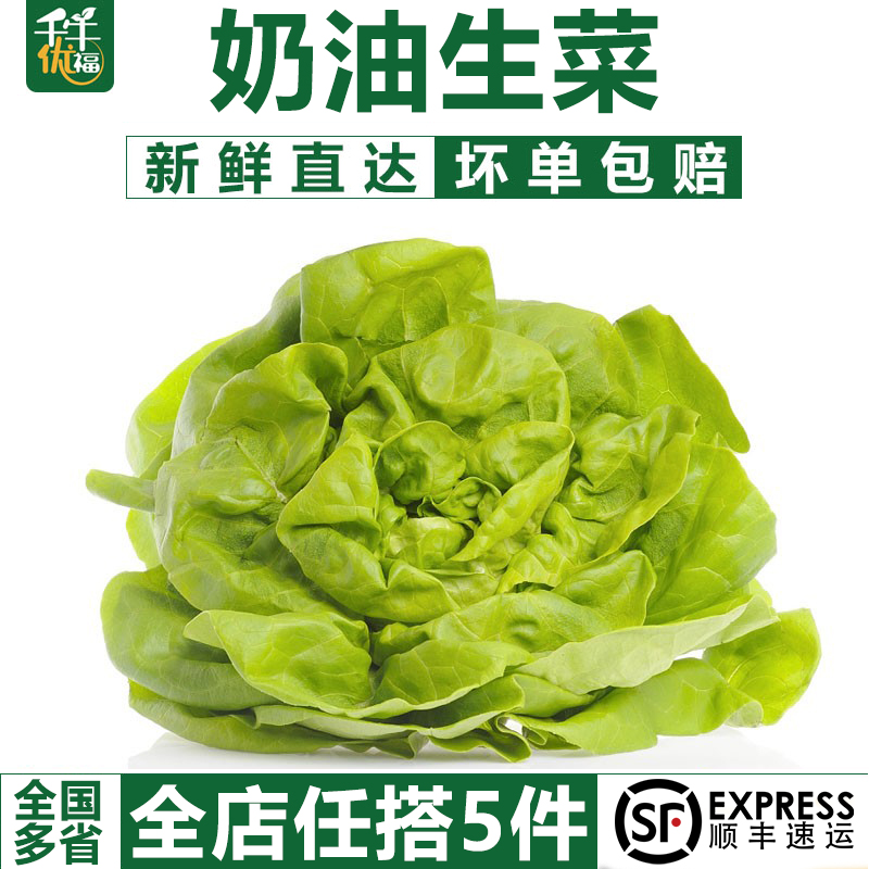 【千牛优福】奶油生菜500g 波士顿生菜 新鲜蔬菜沙拉食材 嫩叶 水产肉类/新鲜蔬果/熟食 叶菜类 原图主图