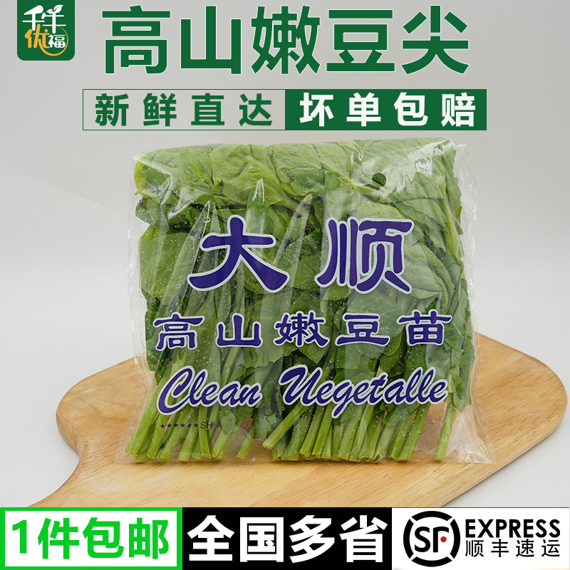 高山嫩豆苗150g/包清炒酒店料理