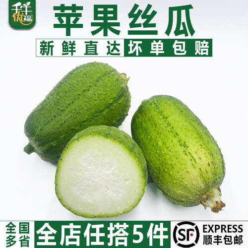 苹果丝瓜1只新鲜采摘基地直发
