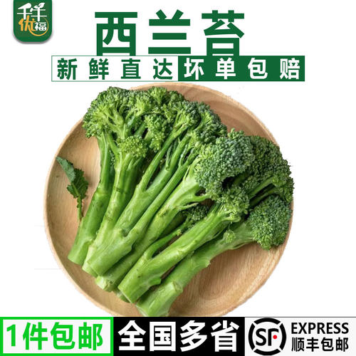 千牛优福新鲜西兰花手指西兰花苔