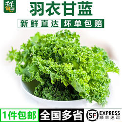 羽衣甘蓝250g-1500g  新鲜嫩叶甘兰kale健身榨汁西餐食材蔬菜沙拉