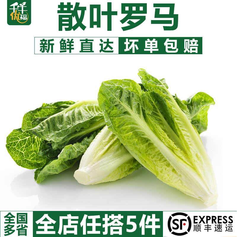 【千牛优福】散叶罗马生菜500g新鲜绿色西餐蔬菜沙拉食材 5件包邮 水产肉类/新鲜蔬果/熟食 叶菜类 原图主图