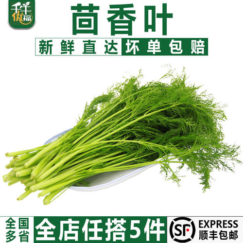 千牛优福新鲜茴香叶250g