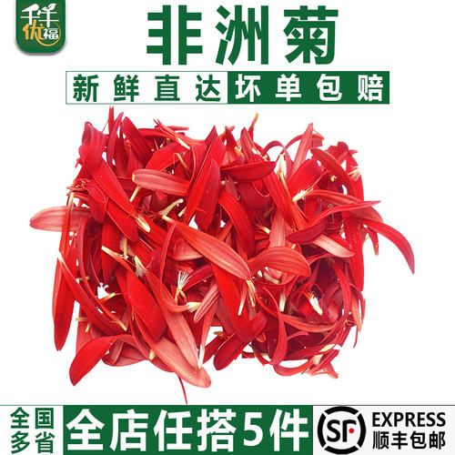 千牛优福非洲菊新鲜摆盘冷艺摆盘