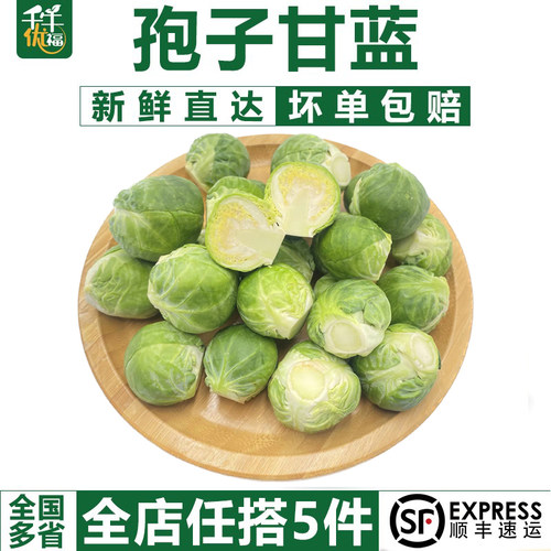 孢子甘蓝甘蓝菜【千牛优福】新鲜