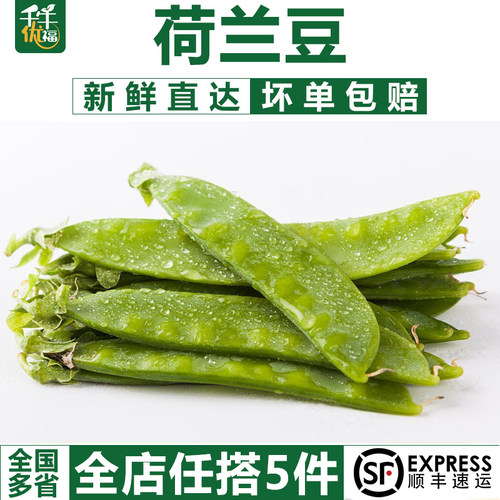新鲜荷兰豆蔬菜江浙沪5份顺丰