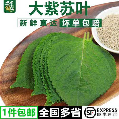 千牛优福新鲜大片东北千牛优福