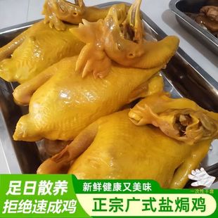 厂家直销】广东风味盐焗鸡真空包装三黄鸡整只熟食即食鸡肉下酒菜