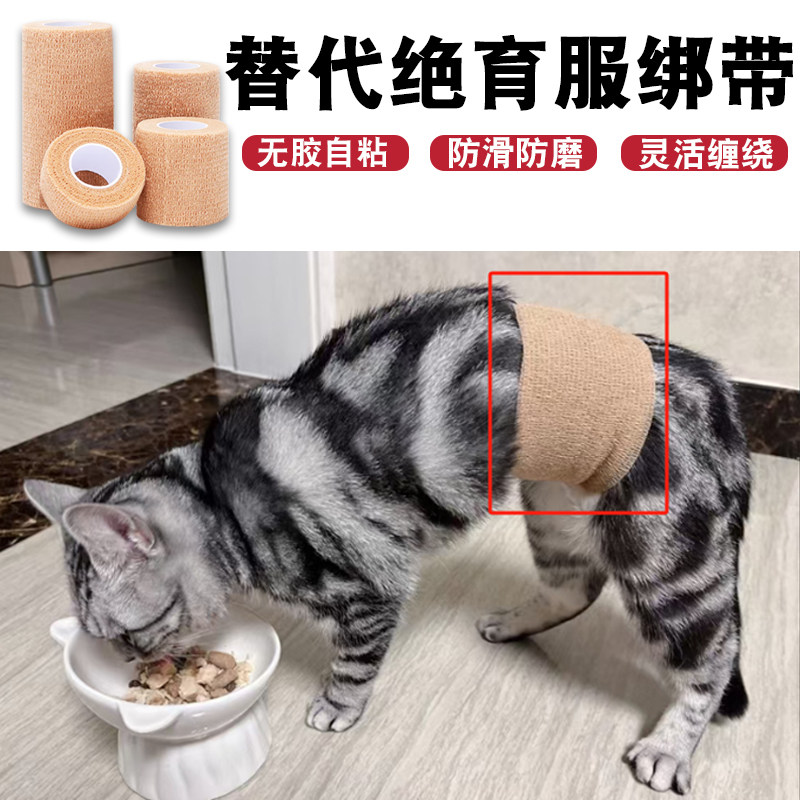 猫咪绝育服绑带猫用手术伤口包扎防舔自粘纱布防止母猫狗狗挠伤口