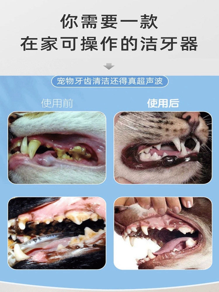 猫咪电动宠物清洁工狗狗套装具超声波洁牙器牙结石去除器去洗牙机